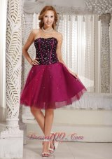 Fuchsia Beaded Cocktail Dress Tulle Corset 2013