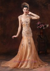 Mermaid Square Embroidery Champagne Straps Prom Dress