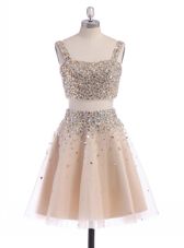 High Quality Straps Straps Champagne Sleeveless Organza Zipper Evening Dress