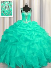 See Through Zipper Up Turquoise Ball Gowns Appliques and Ruffles 15th Birthday Dress Zipper Organza Sleeveless Floor Length