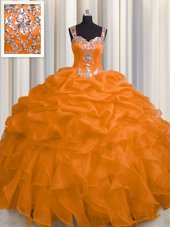 Luxury See Through Zipper Up Straps Sleeveless Organza 15 Quinceanera Dress Appliques and Ruffles Zipper