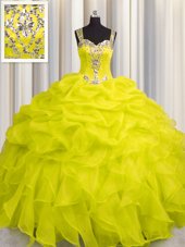 Exceptional See Through Zipper Up Yellow Zipper Sweet 16 Dresses Appliques and Ruffles Sleeveless Floor Length