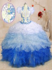 Elegant Multi-color Organza Lace Up Sweetheart Sleeveless With Train Quinceanera Gowns Beading and Appliques and Ruffles
