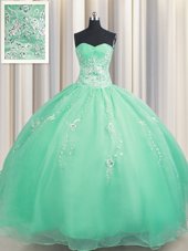 Best Zipper Up Sleeveless Floor Length Beading and Appliques Zipper Quinceanera Gown with Apple Green