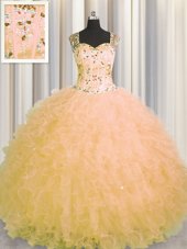 Charming See Through Zipper Up Tulle Sleeveless Floor Length 15th Birthday Dress and Beading and Ruffles