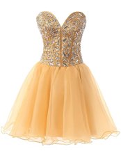 Fashion Knee Length A-line Sleeveless Champagne Party Dress for Girls Lace Up