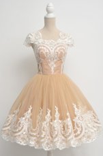 Luxury Scoop Cap Sleeves Cocktail Dress Knee Length Lace Champagne Tulle