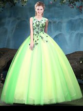 Exceptional Sleeveless Tulle Floor Length Lace Up Quinceanera Gown in Multi-color for with Appliques
