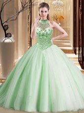 Pretty Halter Top Tulle Sleeveless With Train Quince Ball Gowns Brush Train and Beading