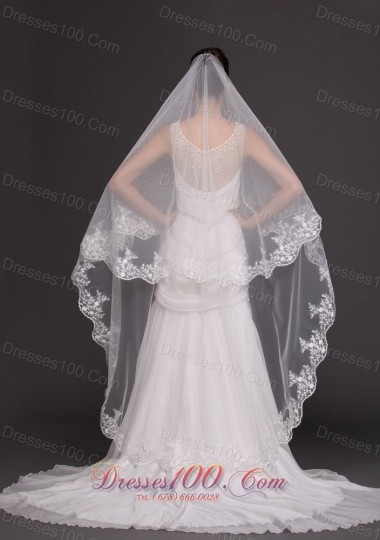 Graceful Wedding Veil 2013 Lace Appliqued Tulle