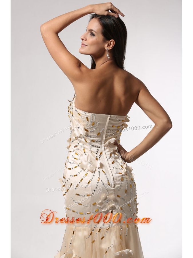 Champagne Column Prom Gown Dress with Floral Embellishment