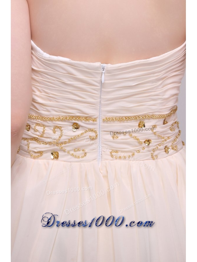 Empire Champagne Ruching Chiffon Floor-length Prom Dress for 2014