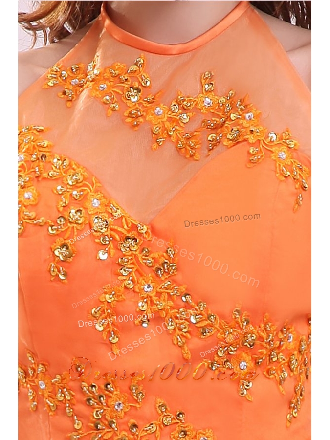 High Neck Beaded Appliques and Pick Ups Quinceanera Dresses