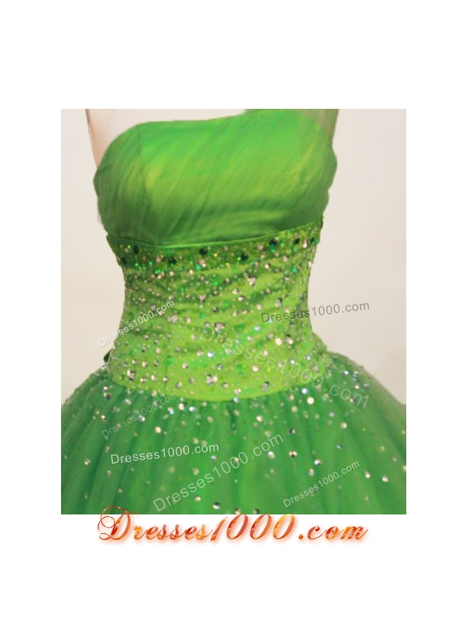 Gorgeous Ball gown One Shoulder Neck Floor-length Tulle Spring Green Quinceanera Dress