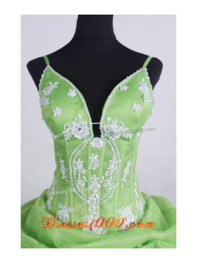 Lovely Ball Gown Straps Floor-length Quinceanera Dresses Appliques