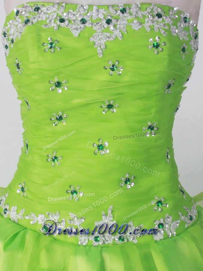 Perfect Ball Gown Strapless Floor-length Spring Green Quinceanera Dress