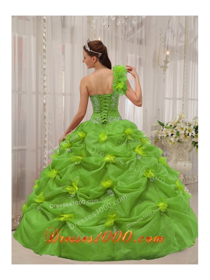 Ball Gown One Shoulder Appliques Long Quinceanera Dresses