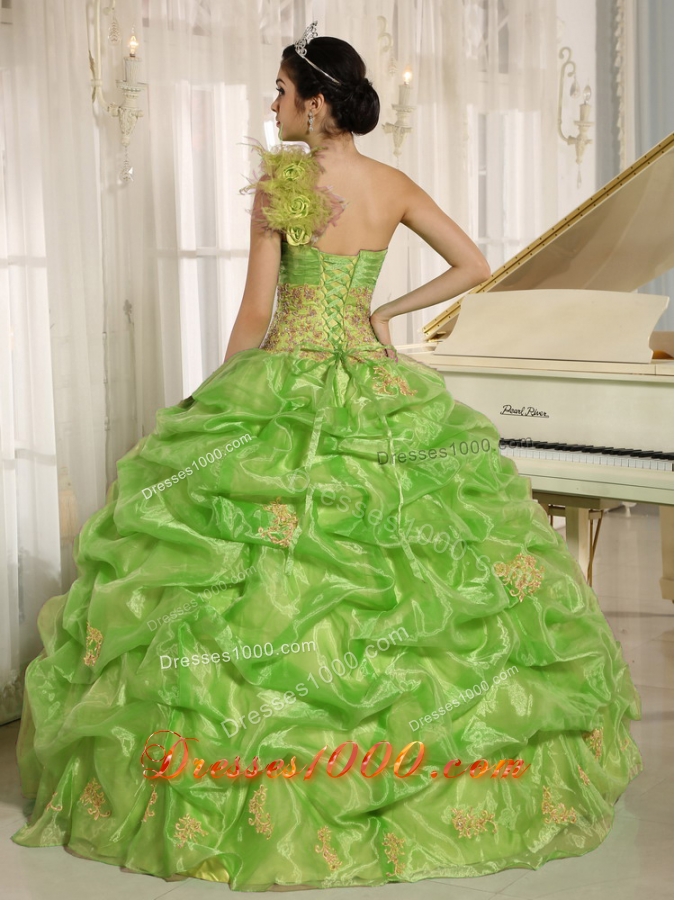 2014 Discount One Shoulder With Embroidery Quinceaners Gowns