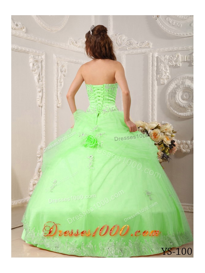 Beautiful Princess Sweetheart Organza Quinceaneras Dress with Appliques and Flowers