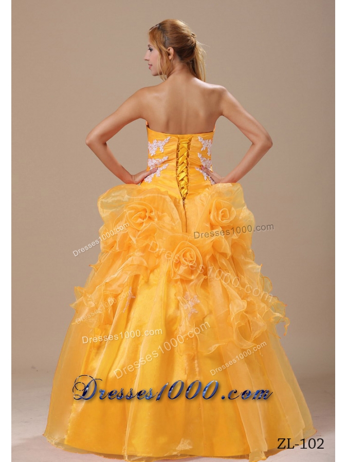 Gold Affordable Princess Appliques For 2014 Quinceanera Dresses