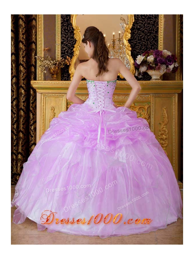 Ball Gown Strapless Beading and Pick-ups Quinceanera Gowns Dresses