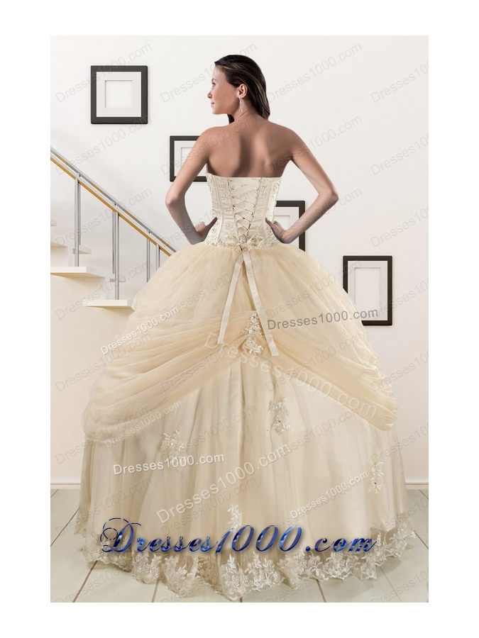 Elegant Appliques and Hand Made Flower Champagne Quince Dresses
