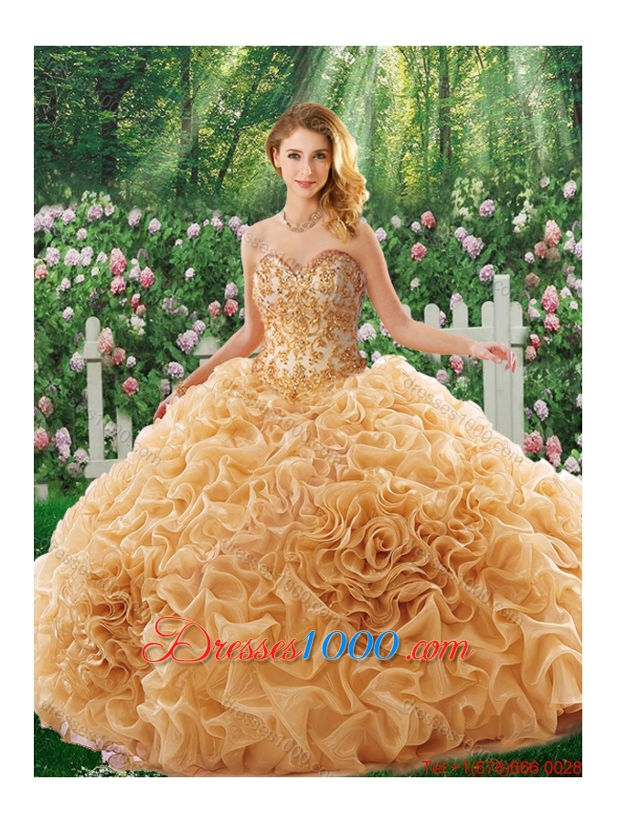 Elegant Brush Train Appliques Quinceanera Dresses for 16 Brithday Party