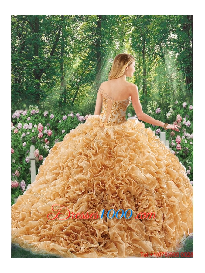 Elegant Brush Train Appliques Quinceanera Dresses for 16 Brithday Party