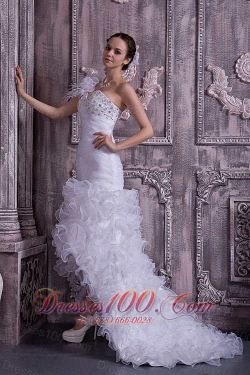 Gorgeous One Shoulder High-low Wedding Dress Organza