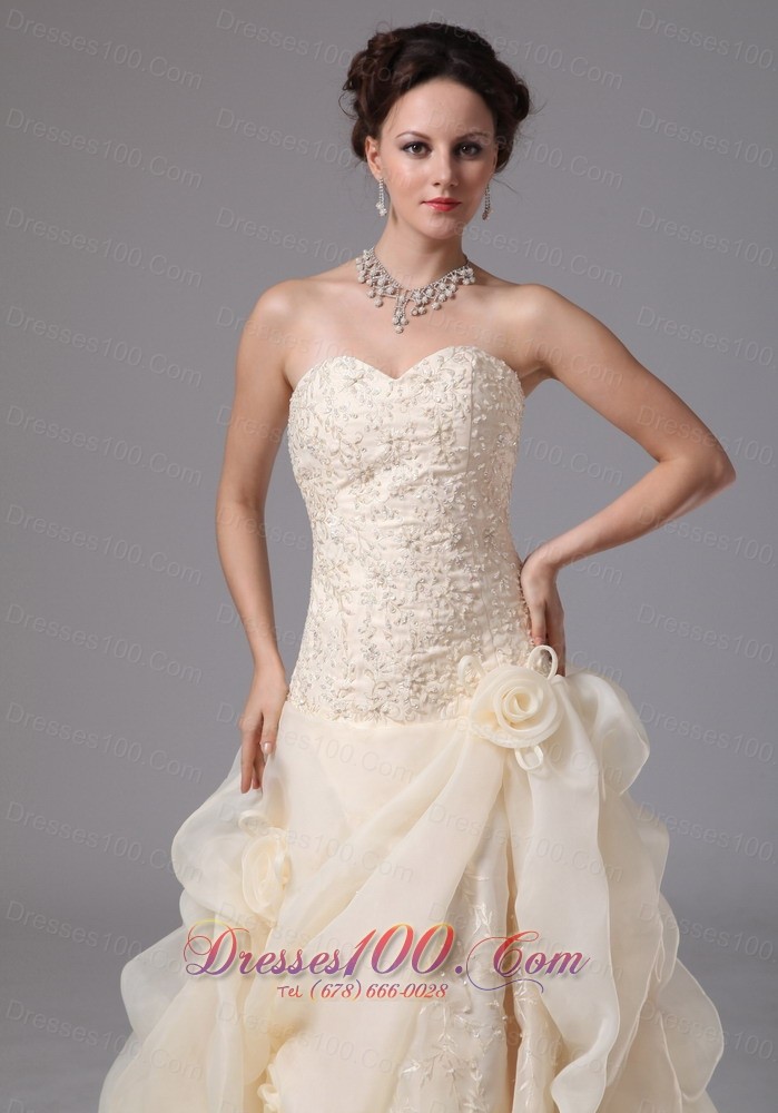 Champagne Embroidery Floral Jessie Wedding Dress