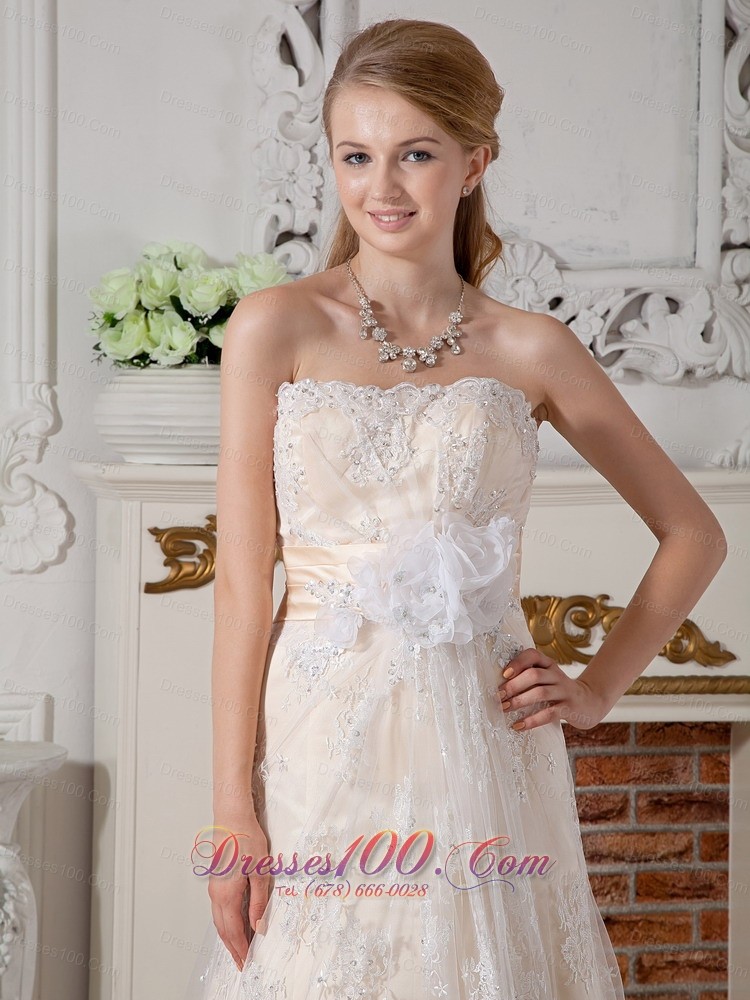 Lovely Champagne Empire Wedding Dress Lace Court Train