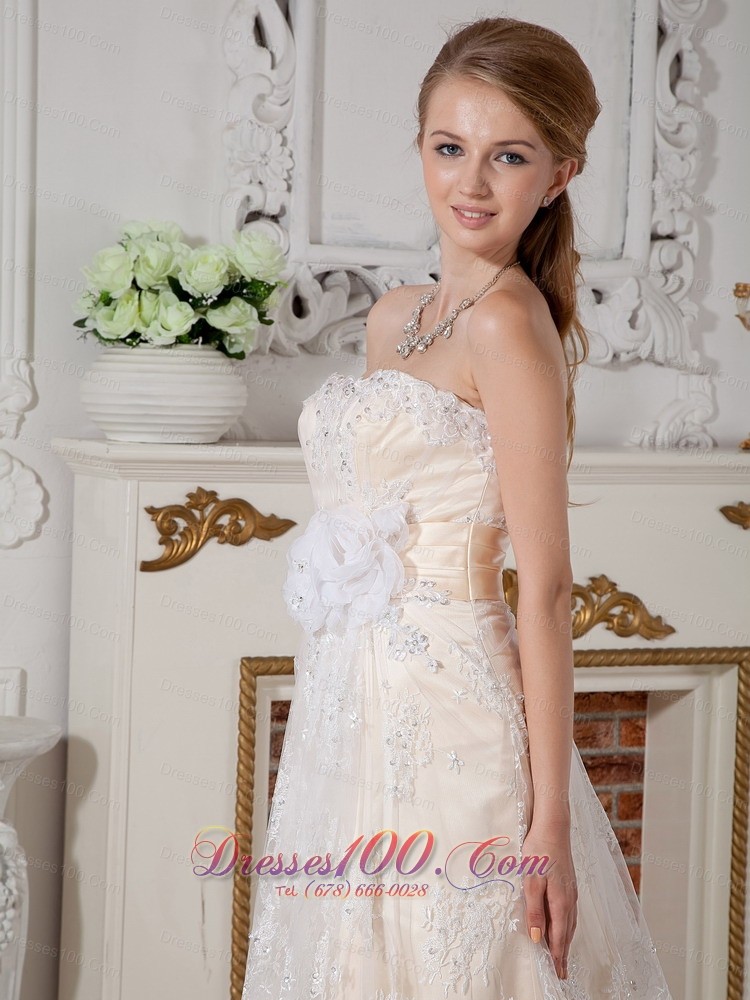 Lovely Champagne Empire Wedding Dress Lace Court Train