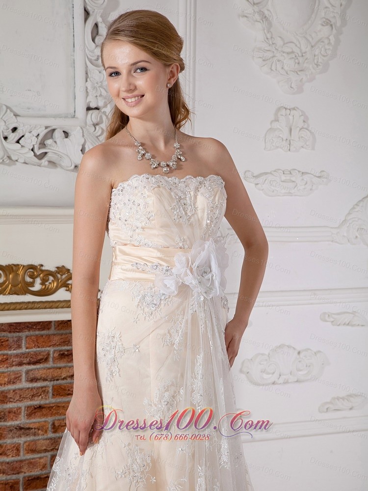 Lovely Champagne Empire Wedding Dress Lace Court Train