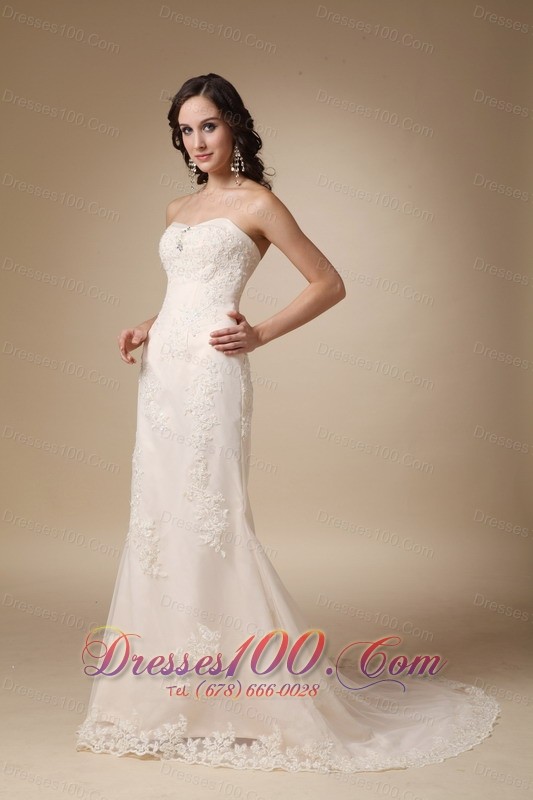 Dreamy Empire Lace Bridal Dress Column Sweetheart Court