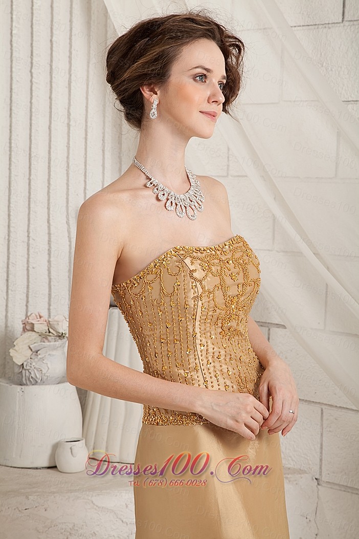 Delicated Bodice with Details Column Mothers Dress