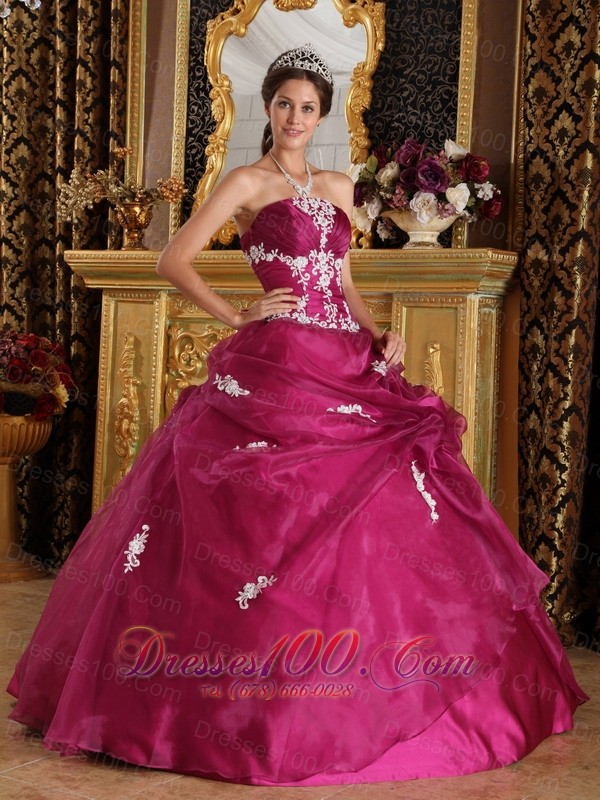 Brand New Fuchsia Quinceanera Dress Strapless Pick-ups Embroidery