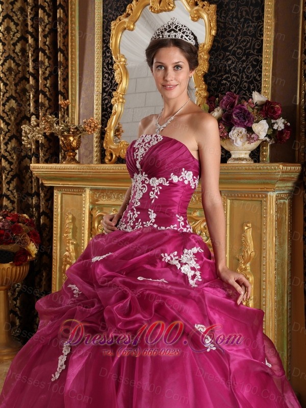 Brand New Fuchsia Quinceanera Dress Strapless Pick-ups Embroidery