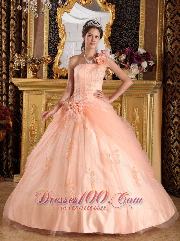 Pink Quinceanera Dress One Shoulder Appliques Tulle