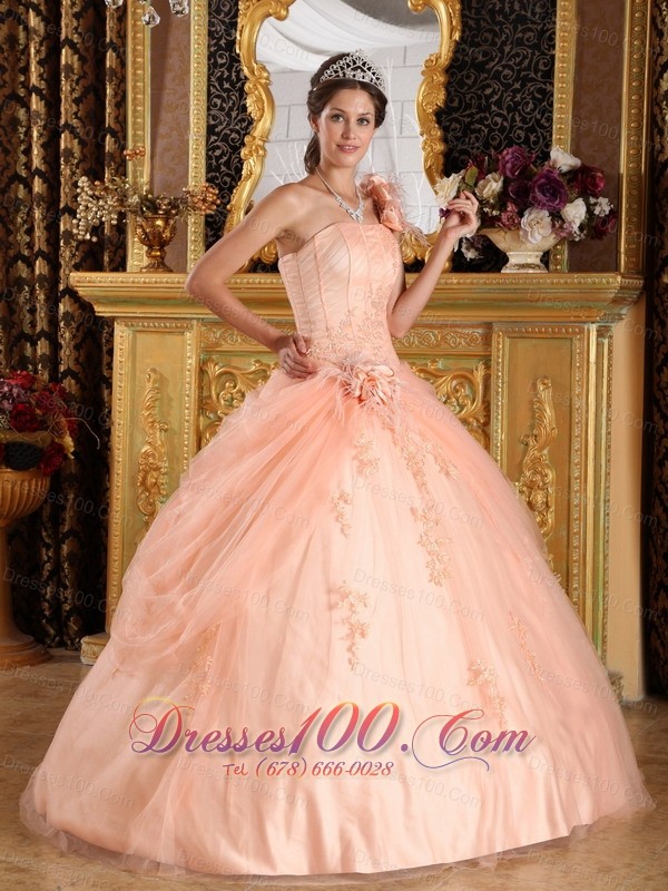 Pink Quinceanera Dress One Shoulder Appliques Tulle