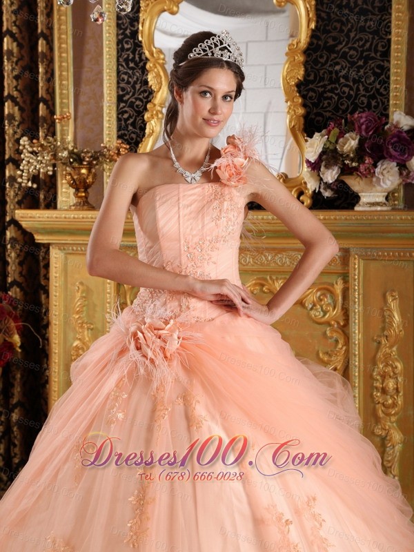 Pink Quinceanera Dress One Shoulder Appliques Tulle