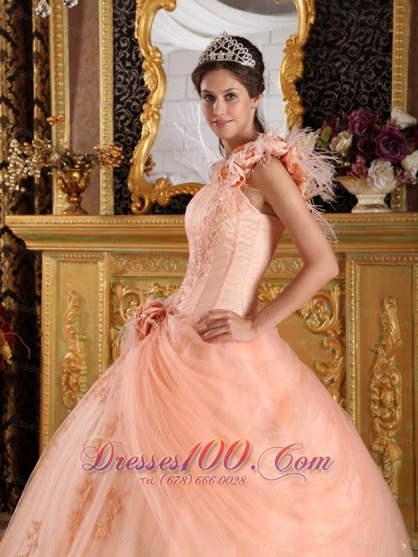 Pink Quinceanera Dress One Shoulder Appliques Tulle