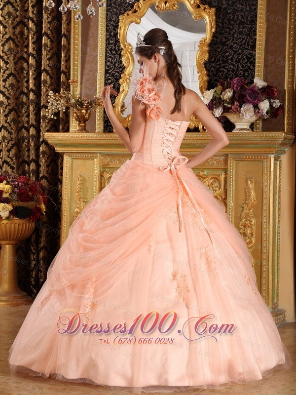 Pink Quinceanera Dress One Shoulder Appliques Tulle
