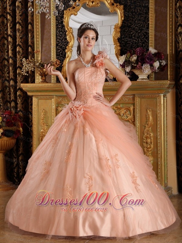 Pink Quinceanera Dress One Shoulder Appliques Tulle