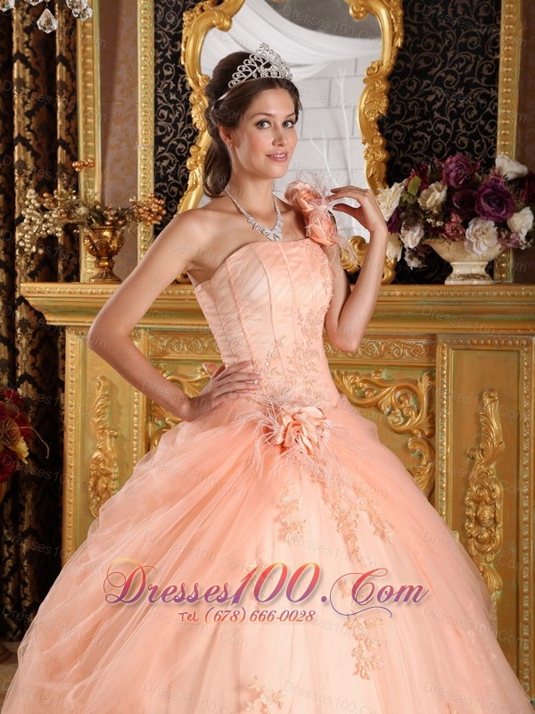 Pink Quinceanera Dress One Shoulder Appliques Tulle