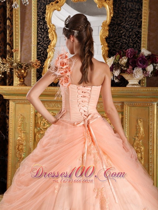 Pink Quinceanera Dress One Shoulder Appliques Tulle