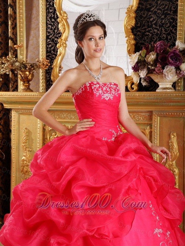 Red Embroidery and Pick-ups Dresses 15 Organza