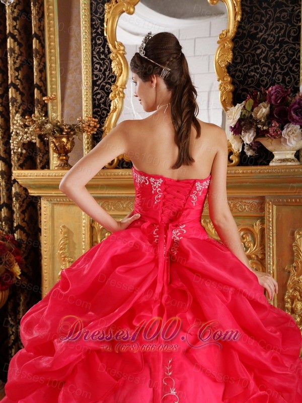 Red Embroidery and Pick-ups Dresses 15 Organza