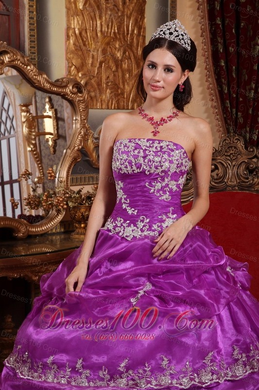 Plus Size Fuchsia Organza Appliques Quinceanera Gowns