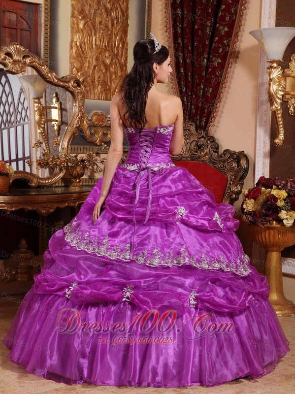 Plus Size Fuchsia Organza Appliques Quinceanera Gowns