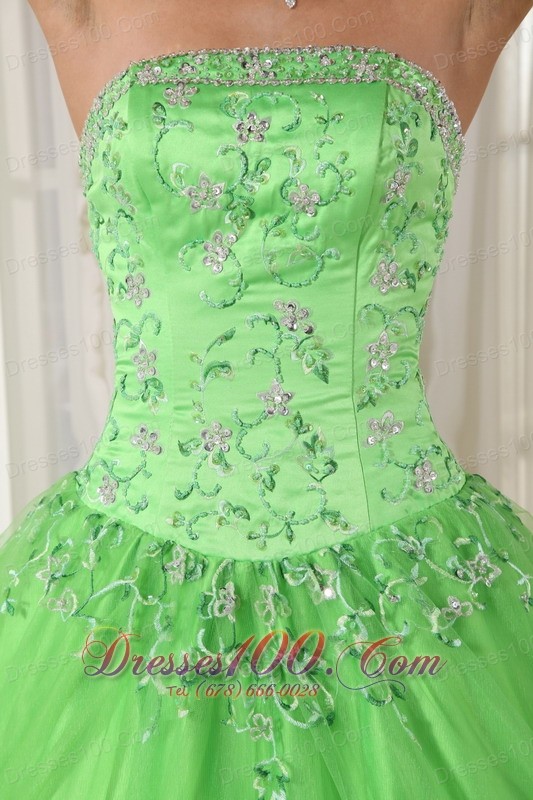 Spring Green Dresses Quinceanera Taffeta and Tulle Appliques